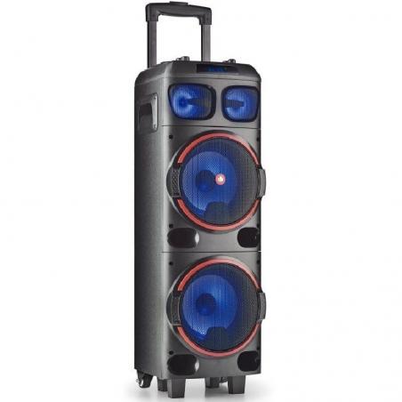 Altavoz Portable con Bluetooth NGS Wild Dub 1/ 300W - Imagen 1